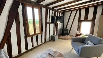 TV connectée, cheminée, table de tennis de table, livres