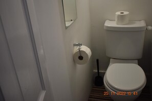 A bathroom with a toilet, a toilet paper holder, and a mirror on the wall.