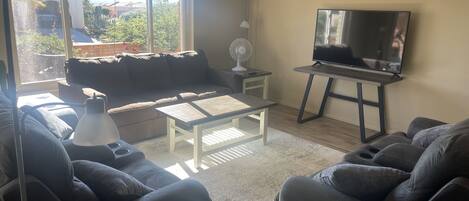 Smart TV, books, computer monitors