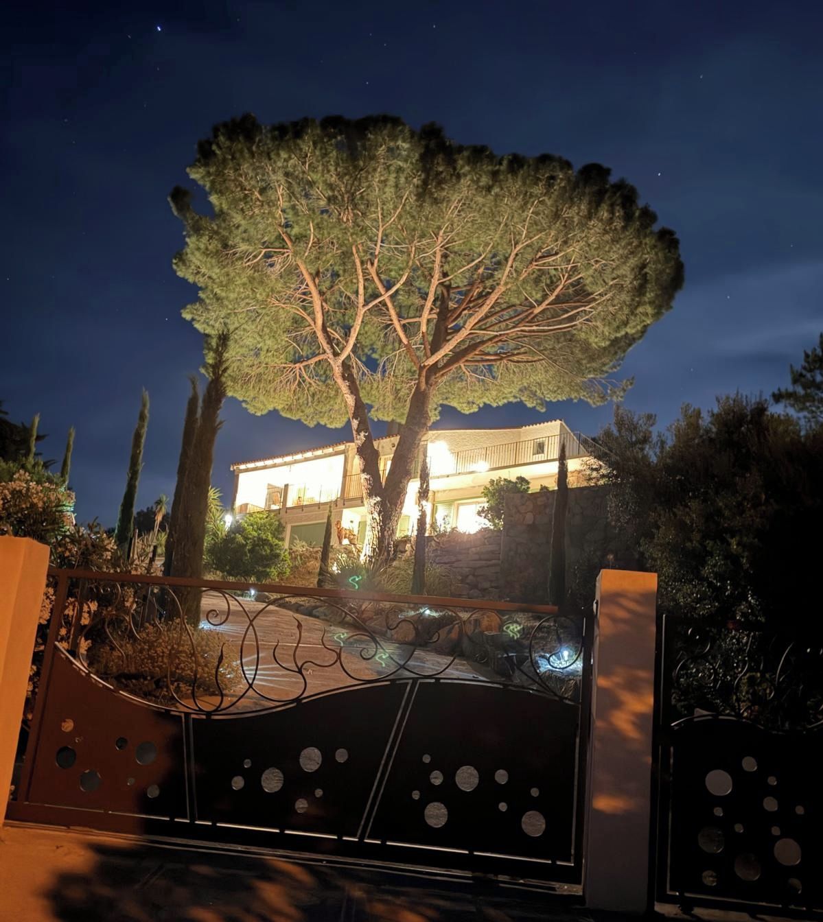 Vista nocturna de un edificio con un árbol grande en primer plano, una entrada con rejas y una fachada bien iluminada.