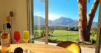 Fantastic apartment with heated pool s in Calvi - Moncale