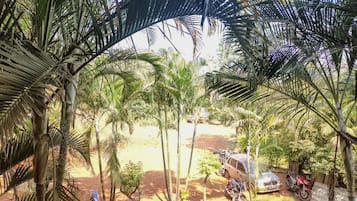Ngoại thất