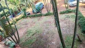 Deluxe Room | Garden view - Hotel Bliss  (Jaoli)
