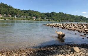 Rowing - RheinVilla ARTE (Remagen)