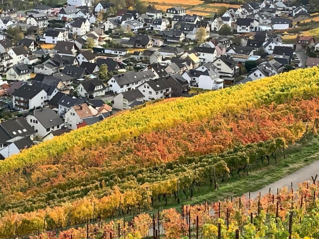 Un quartier résidentiel avec des maisons et un vignoble.