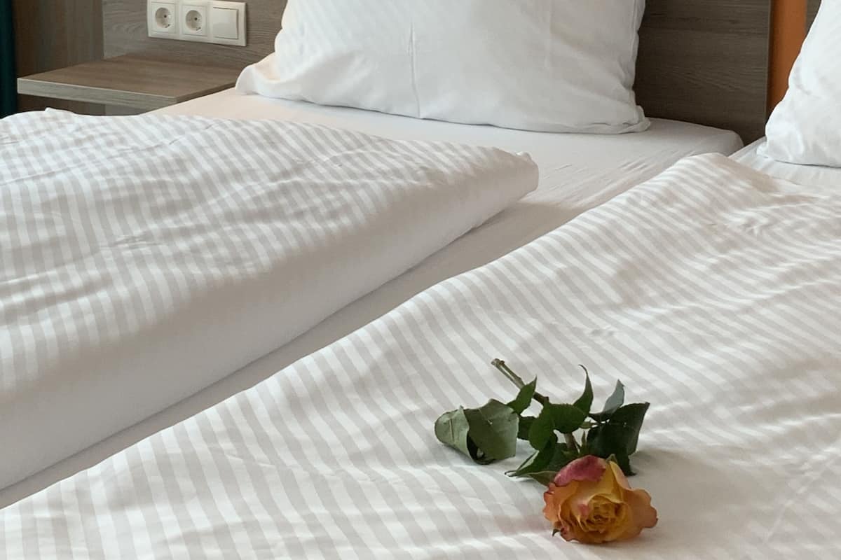 Doppia uso singolo | 1 camera, biancheria da letto ipoallergenica