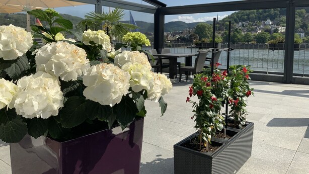 A terrace with potted plants, a table, and chairs overlooking a body of water and a town. - RheinVilla ARTE (Remagen)