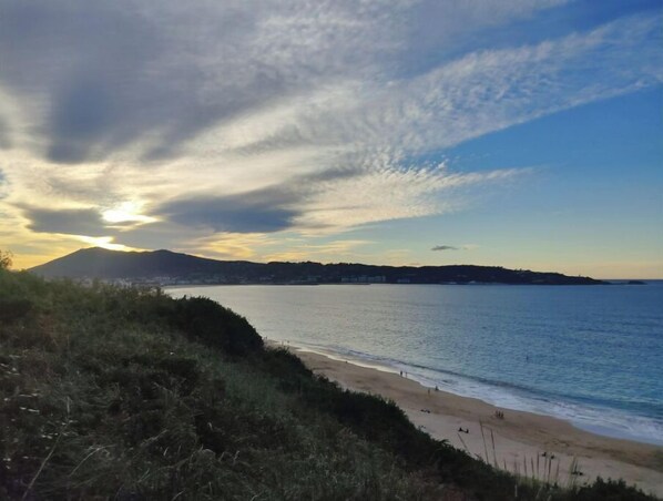 Strand