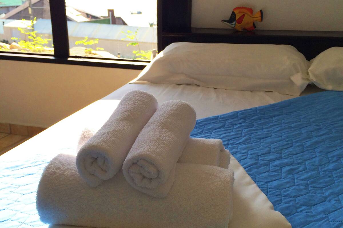A hotel room with a bed, white towels, a blue quilted bedspread, a window with a view of buildings, and a small toy fish on the headboard.