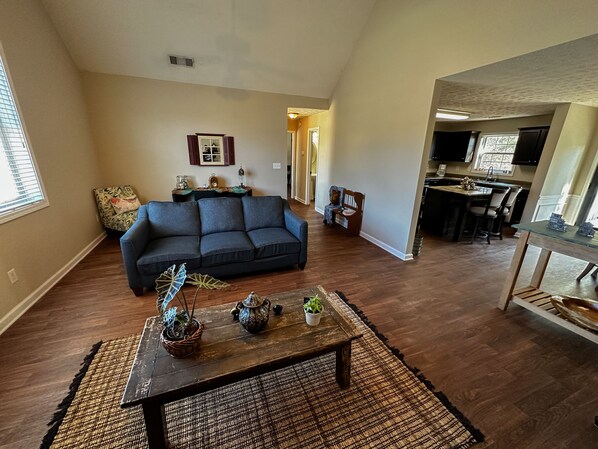 Smart TV, fireplace, books