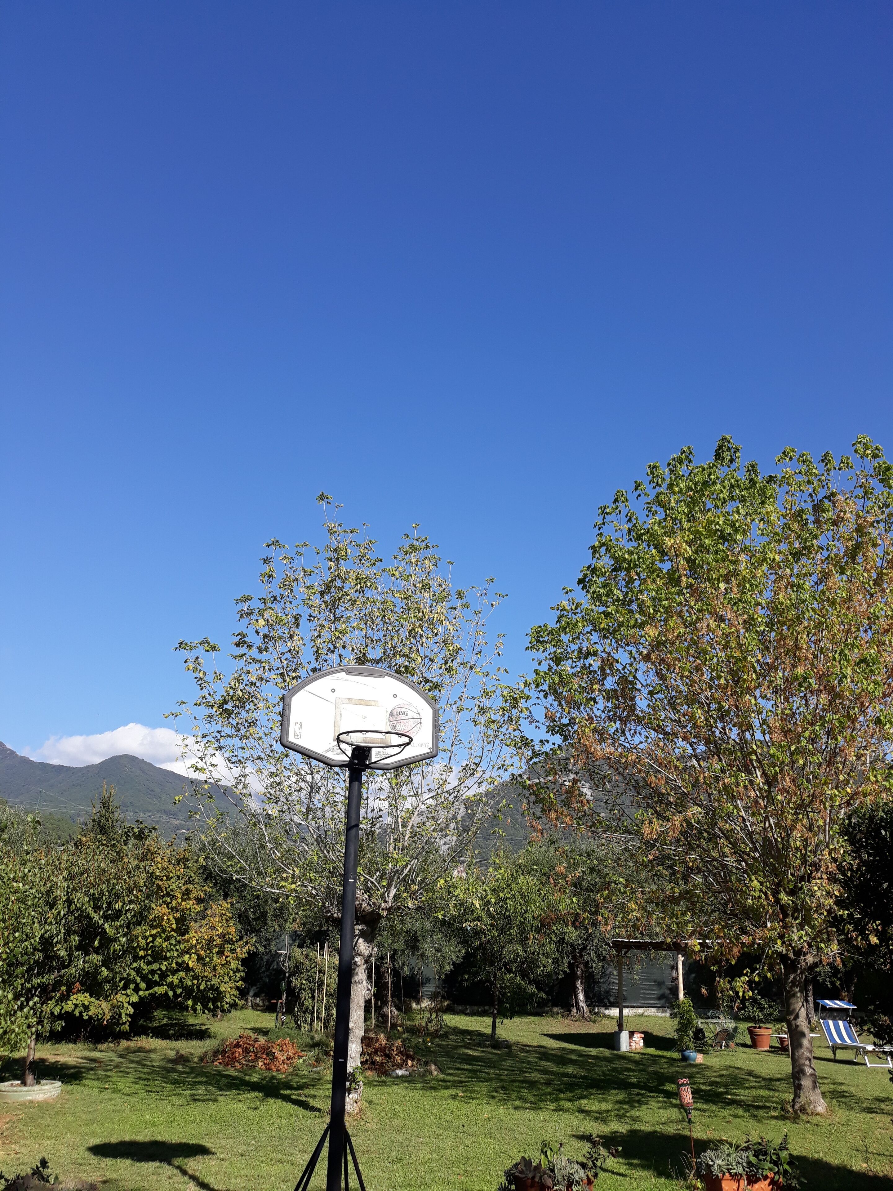 Un panier de basket installé dans un jardin, avec une montagne en arrière-plan.