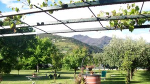 Un jardin agrémenté d’une pergola, de plantes en pot, d’un tonneau rouge et offrant une vue sur les montagnes.