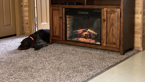 A living room with a fireplace, a dog lying on the carpet, and a clock on the mantel. - Lodging in the heart of the Glacial Lakes, Waubay, Webster, Waubay Lake
 (Summit)