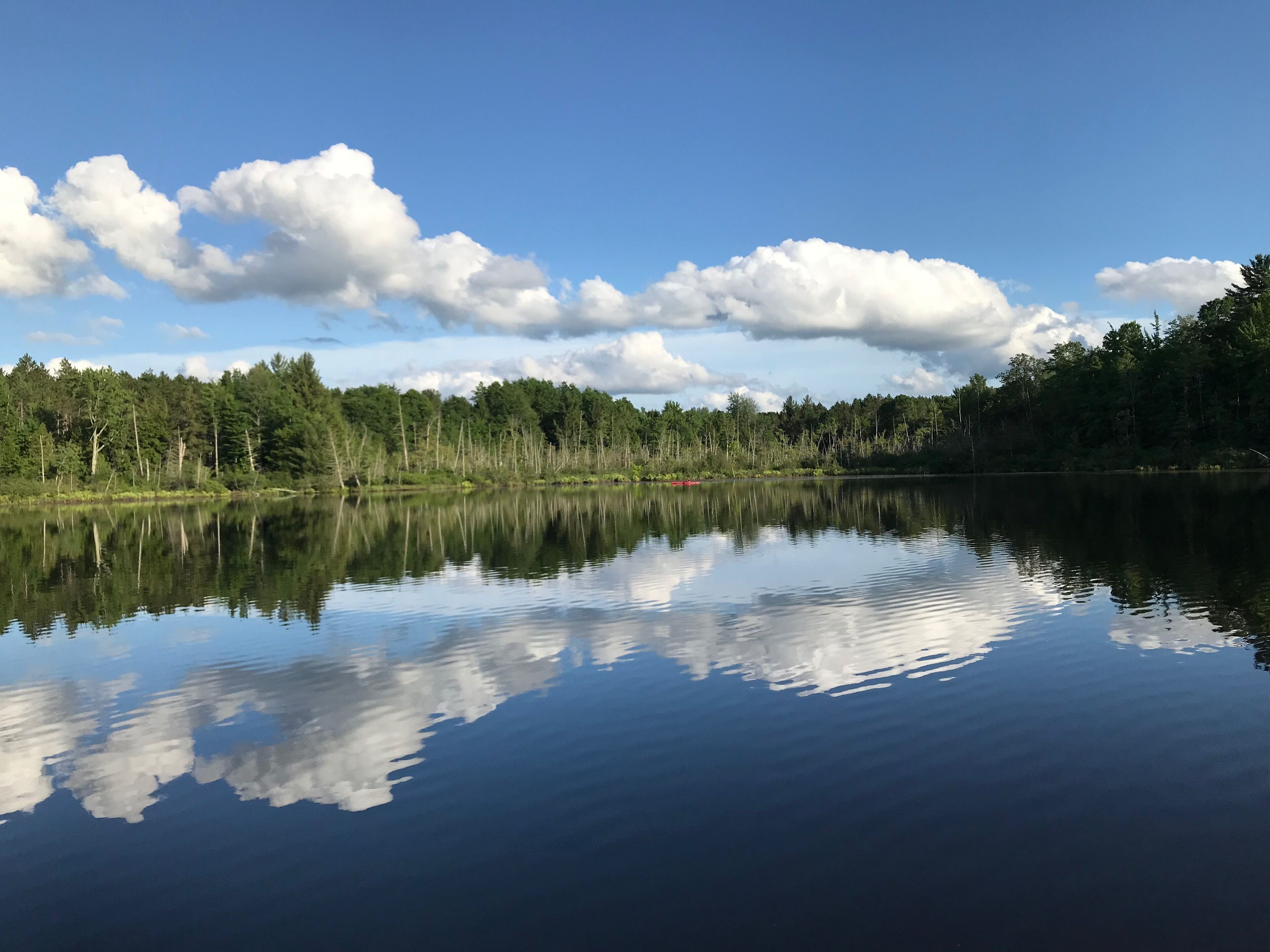 Ein ruhiger See mit Spiegelungen von Bäumen und Wolken, umgeben von einem dichten Wald.