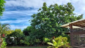 A well-maintained garden with a variety of plants and a wooden pergola structure. - Bungalow Temanea Pirae Tahiti (Papeete)