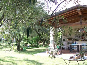 A rustic house with a wooden roof, surrounded by lush greenery and potted plants. - Antiche Travi:cosy flat in ancient farmhouse, 4km from the sea and near the Alps (Ripa- Pozzi-Ponterosso)
