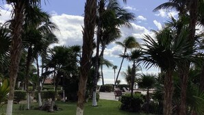 Un giardino con palme, un vialetto e vista sul mare.