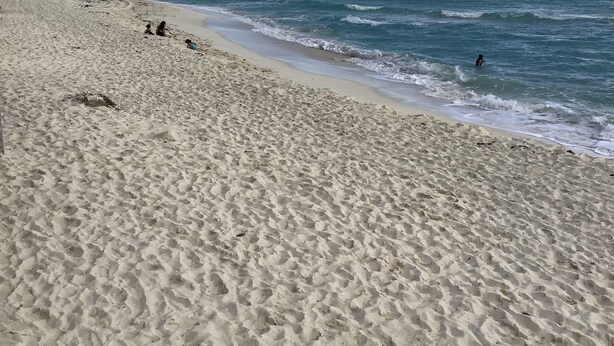Una spiaggia sabbiosa con cielo sereno e mare calmo.