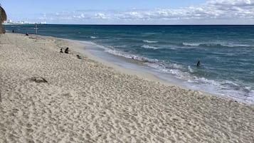 On the beach