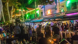 A crowded outdoor dining area with tables and chairs, palm trees, and string lights.