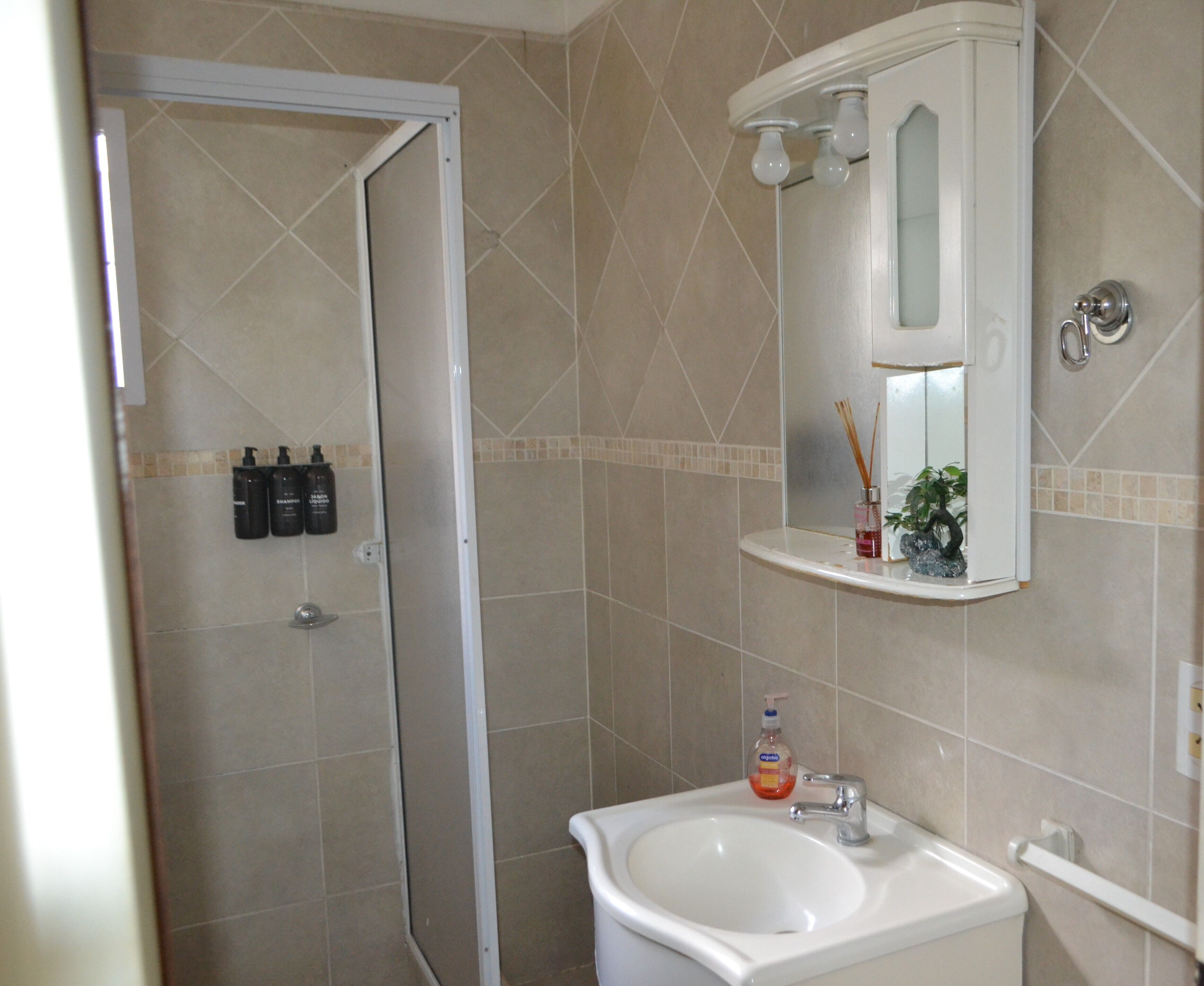 Duschwanne, Bidet, Handtücher, Seife