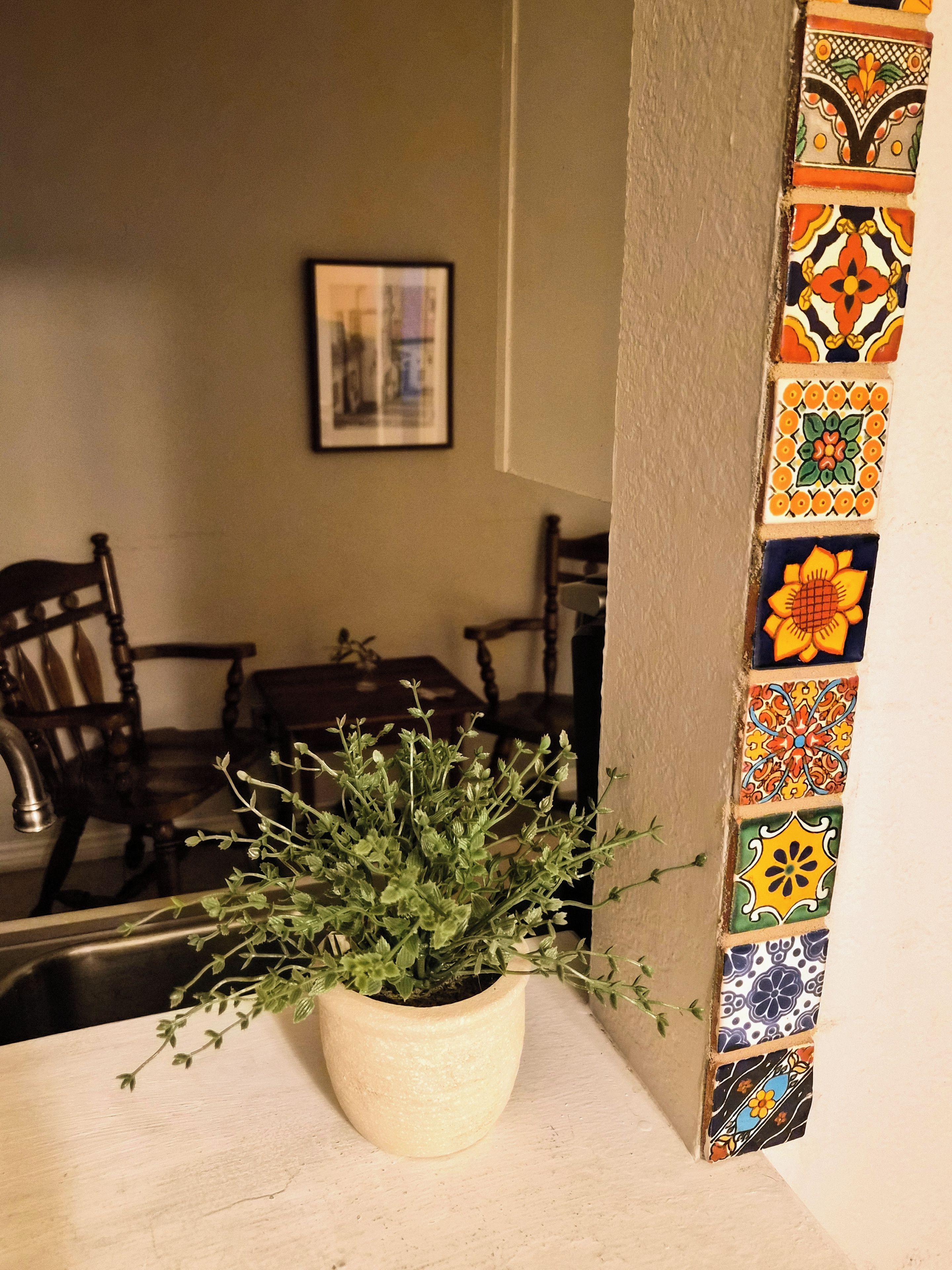 A potted plant on a table in a room with a dining area and a wall with colorful tiles.