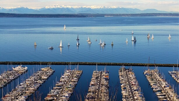 A marina with numerous boats docked in rows, a clear blue sky, and a mountain range in the background. - Goldfinch House - Scandinavian Modern Near Beaches (Seattle)