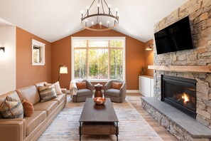 Smart TV, chimenea y libros 