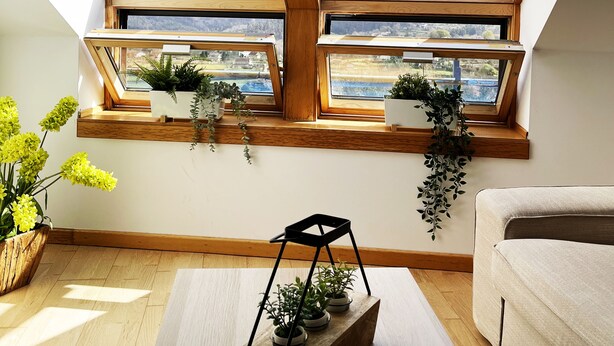 Una habitación con tragaluces, un sofá, una mesa de centro y plantas en macetas.