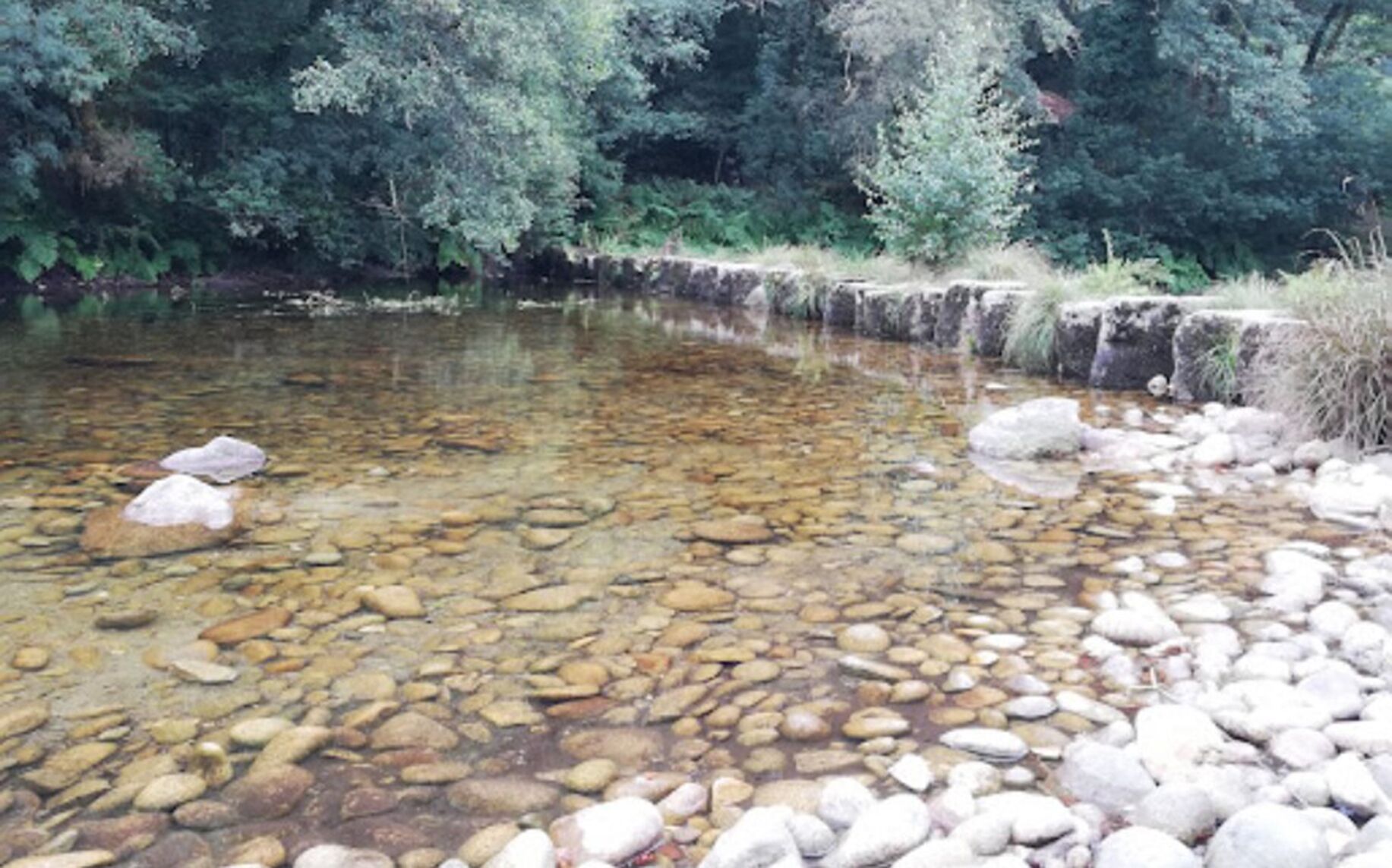 A clear stream with rocks and a stone wall in the background.
