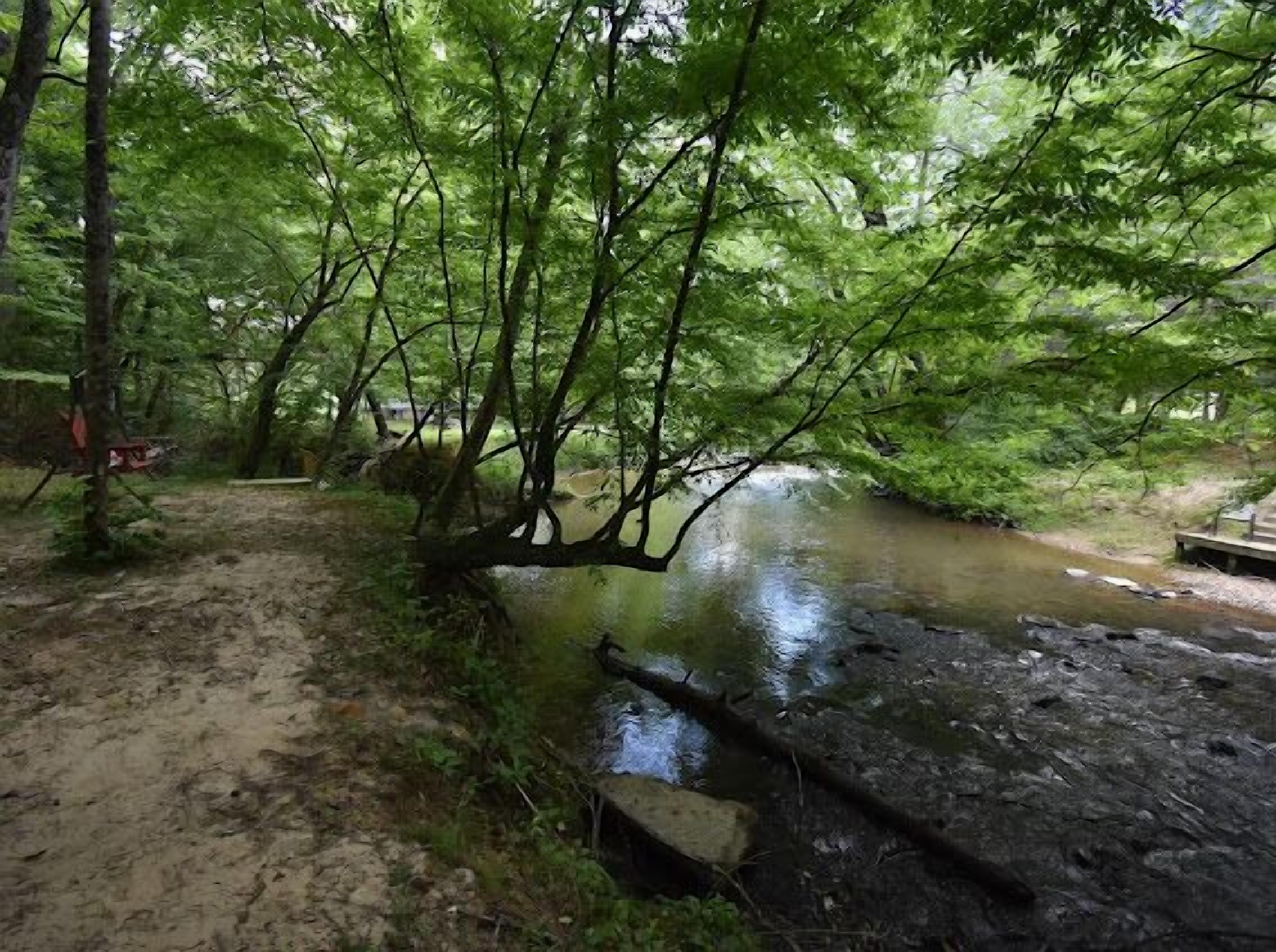 Un cadre naturel avec une rivière, des arbres et un banc en bois.