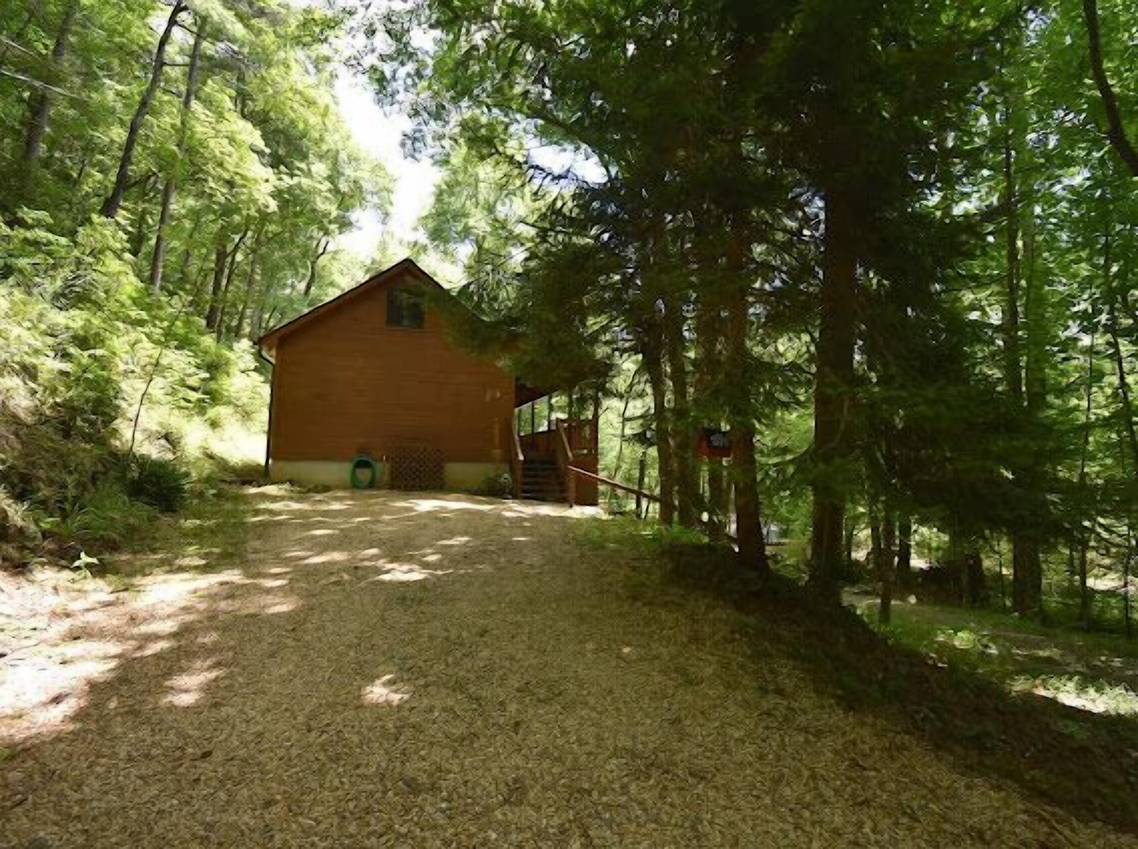A wooden cabin surrounded by dense forest.