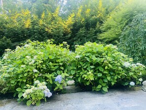 Jardines del alojamiento