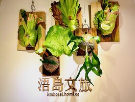 Pared con cuatro macetas colgantes con plantas verdes.