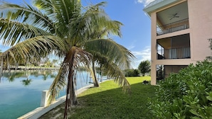 A hotel with a pool, palm trees, and a well-maintained lawn.