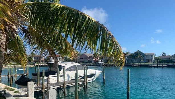 A marina with a docked boat, a palm tree, and houses in the background.