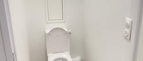 Combined shower/tub, hair dryer, towels, soap