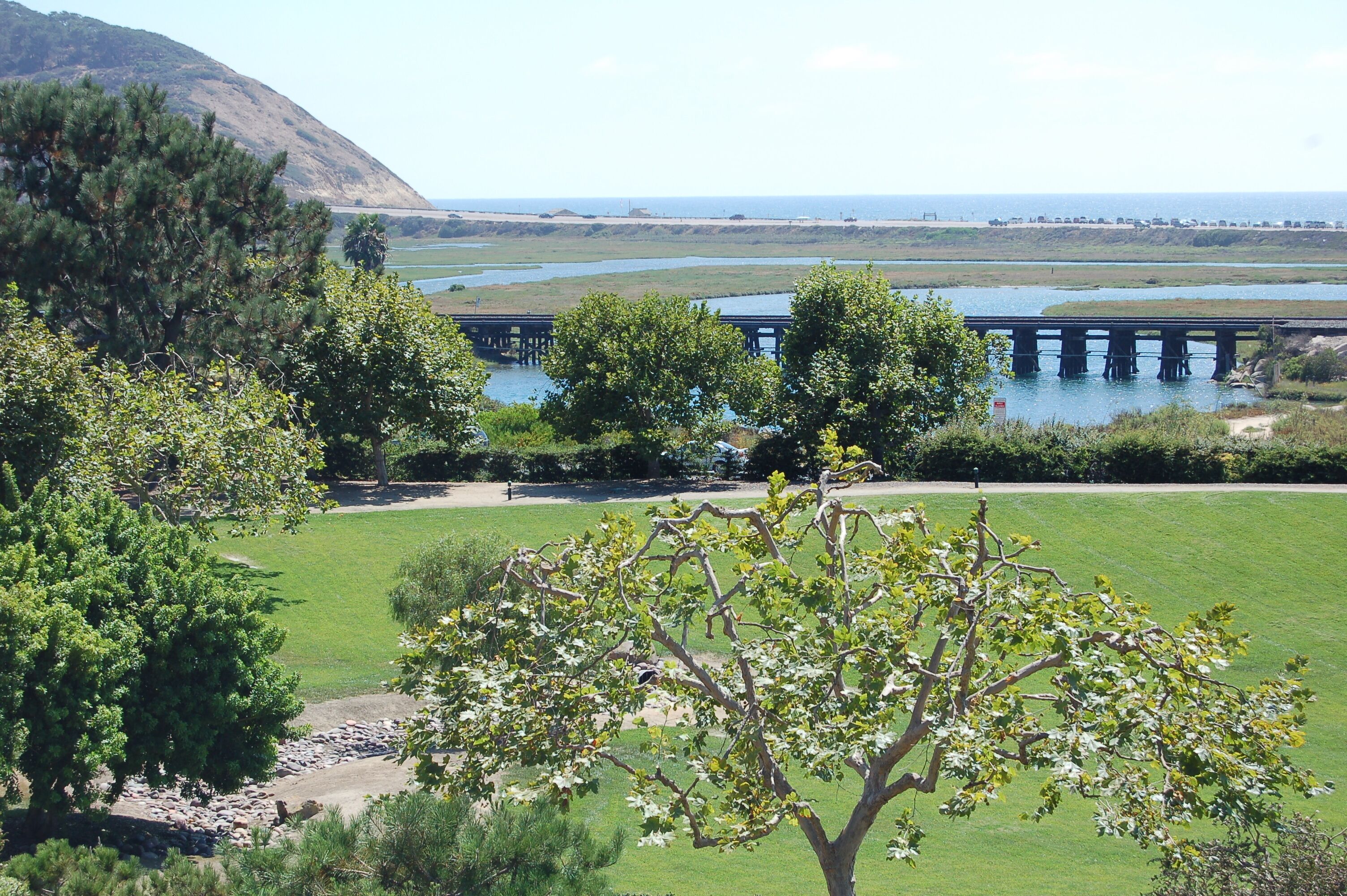 Del Mar Luxury Ocean View Condo -Steps to Torrey Pines State Beach -