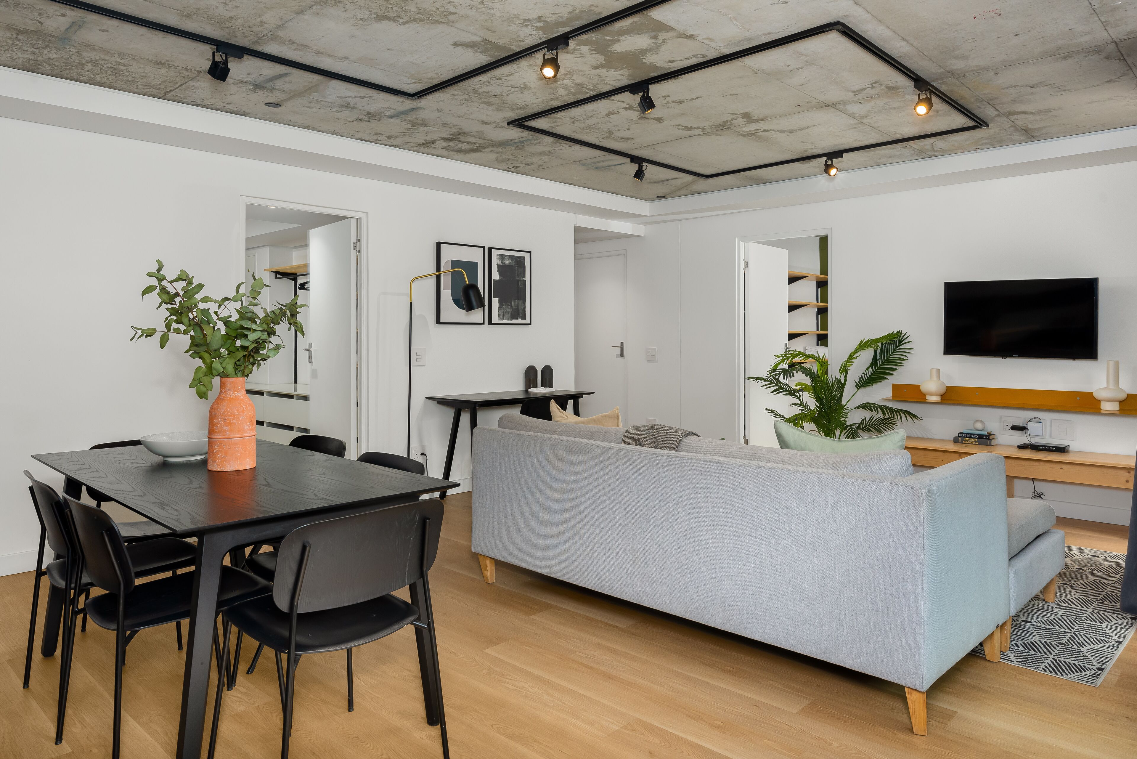 A modern living room with a grey sofa, a dining table with chairs, a TV, and a large potted plant.