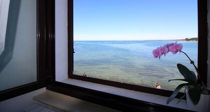 6 Personen, Meerblick, direkt am Meer, Altstadt