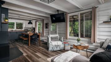 TV, fireplace, offices