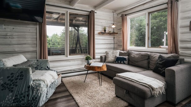 Een gezellig chalet interieur met een bank, een fauteuil, een salontafel en een aan de muur bevestigde televisie.