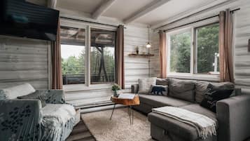 TV, fireplace, offices