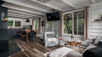 TV, fireplace, offices