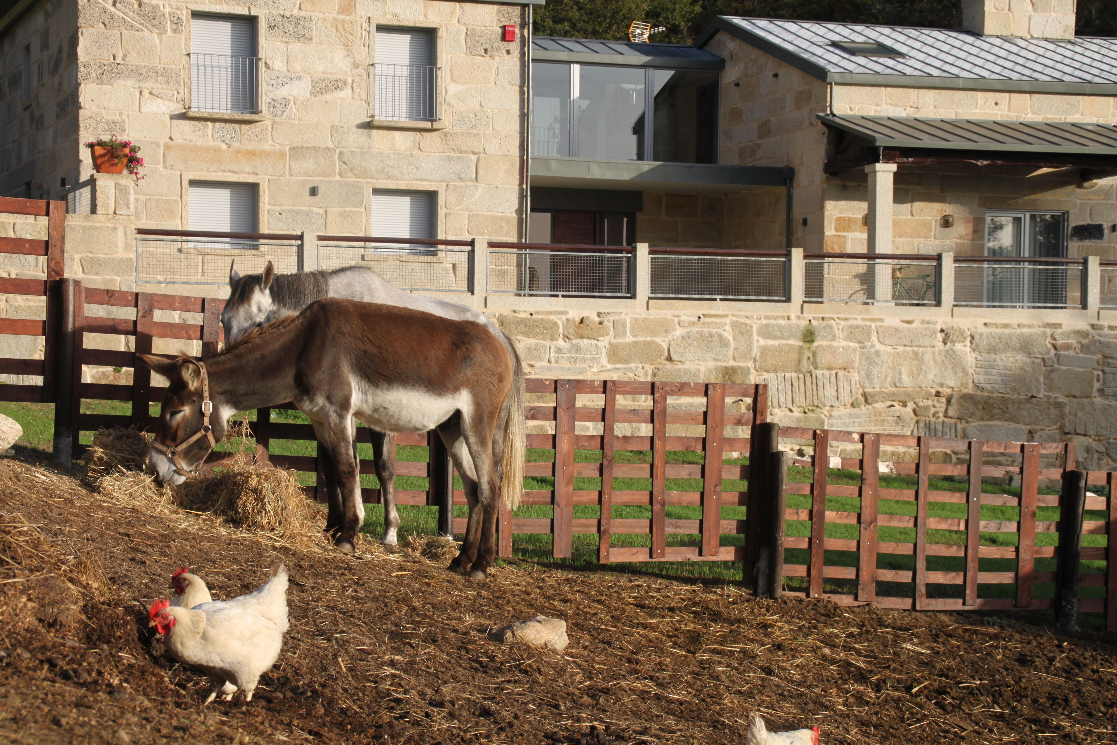 Foto - Hotel a Ecogranxa