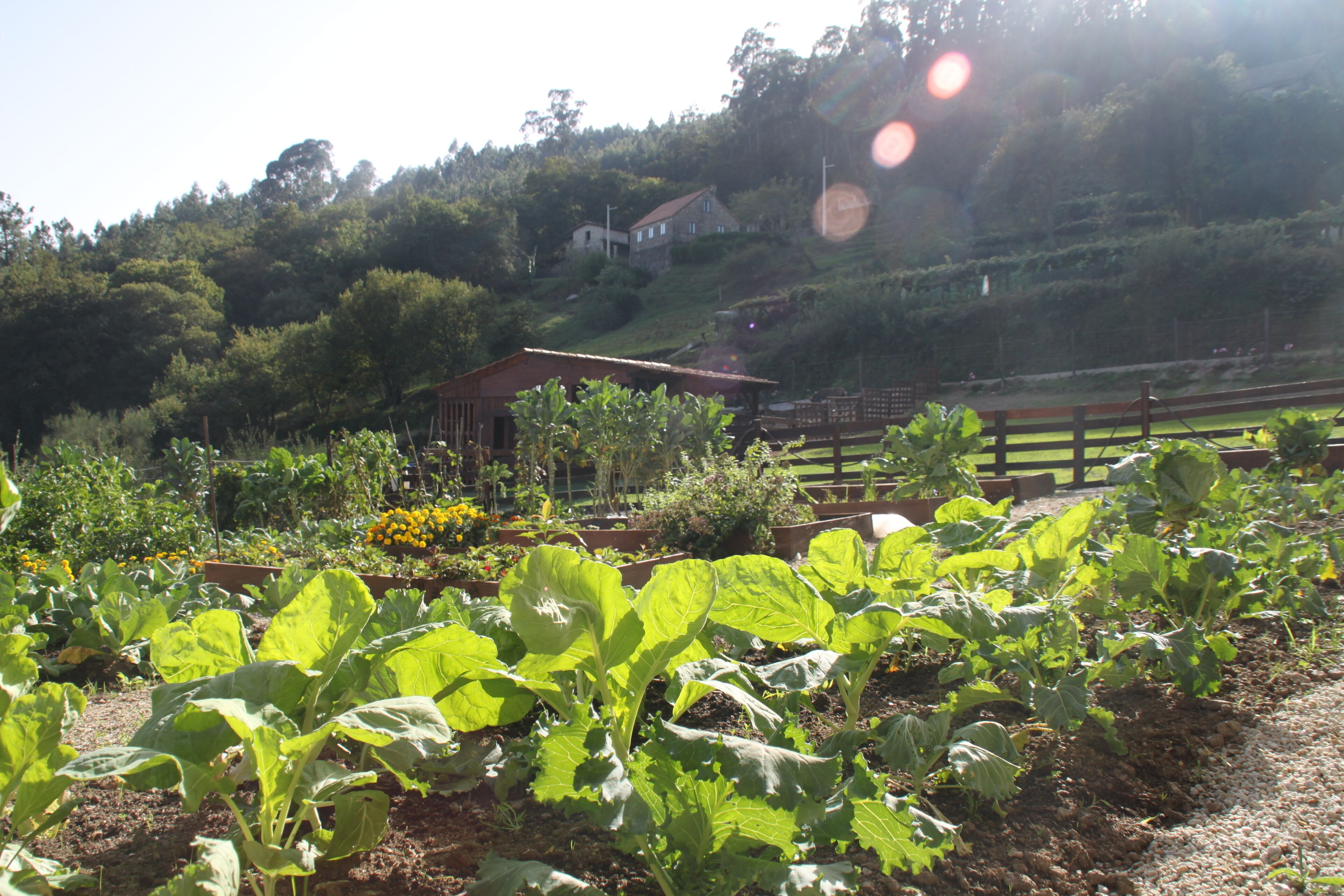 Foto - Hotel a Ecogranxa