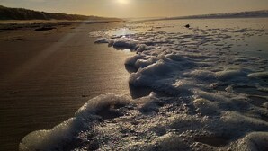 A beach with waves and sunlight. - Gîte Dune between orchard and Omaha beach (Colleville sur mer)