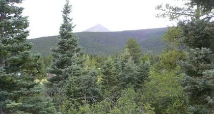 Location! Nice log home in dark sky community next to several peaks