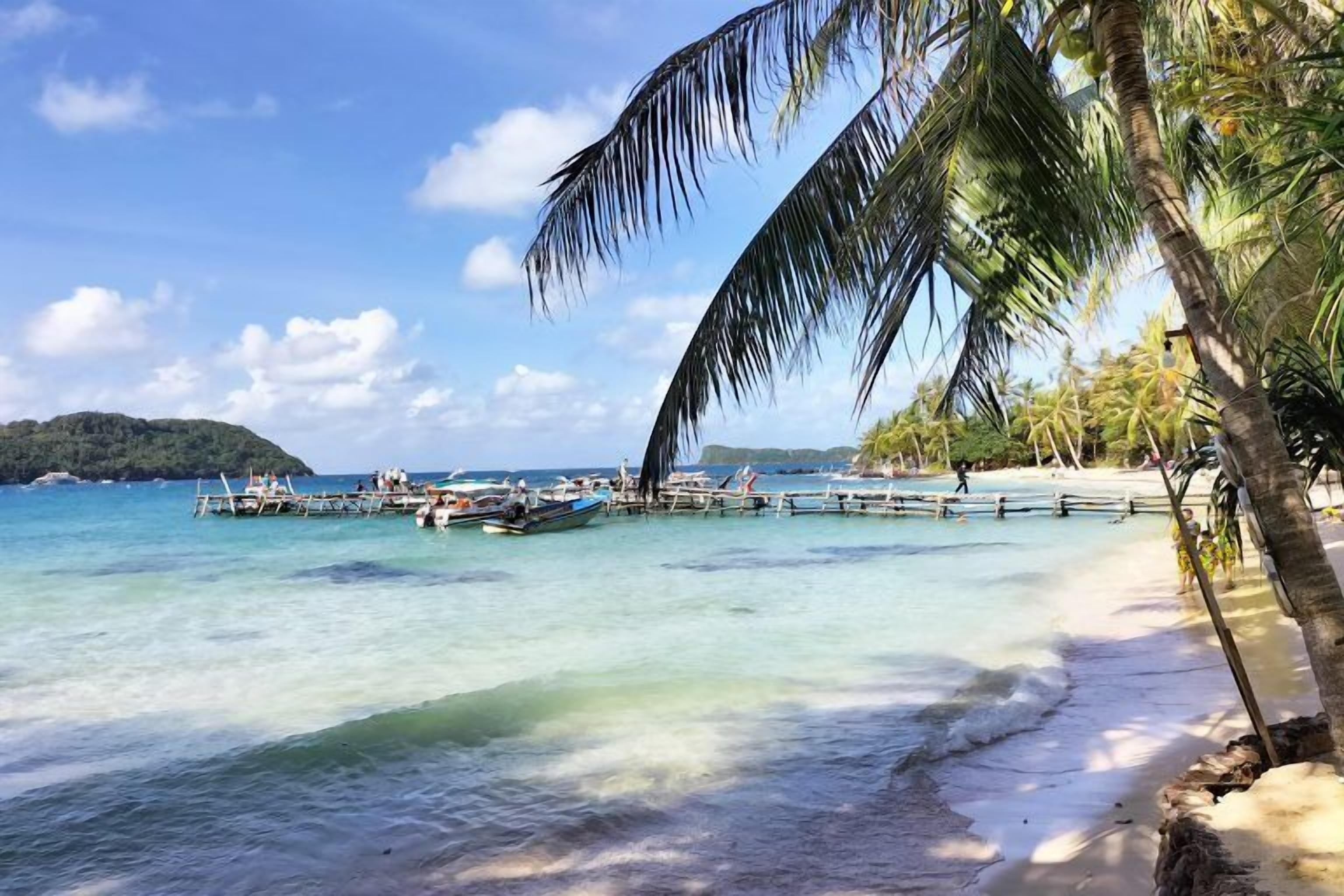 A beach with clear turquoise water, a wooden dock, and palm trees.