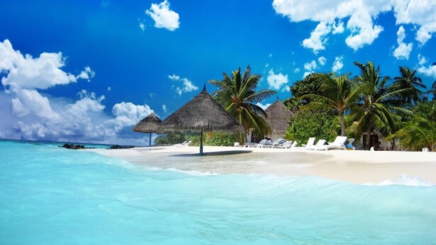 A beach with thatched-roof huts, palm trees, and lounge chairs. - CALI PHU QUOC HOTEL (Phu Quoc)